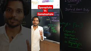 Sporophyte Vs Gametophyte 🔥✨ k2institute viral biology shorts biology11 [upl. by Ativak]