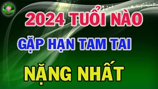 Con giáp nào tuổi tam tai năm 2024 và những điều cần kiêng kỵ  Triết Lý Cuộc Sống [upl. by Ayyidas]