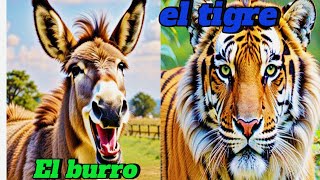 La Historia del Burro 🐴 y el TIGRE 🐯 [upl. by Blen667]