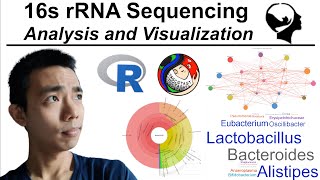 16s rRNA Sequencing Analysis and Visualization [upl. by Tonneson]