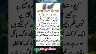 Urdu motivation quotes  urdustatus deeplines urdumotivation ytshorts viralshorts [upl. by Norbert735]