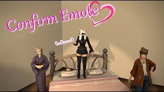 FFXIV The Confirm Emote 44 [upl. by Ecylla641]