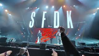 sfdk Despedida [upl. by Finer]