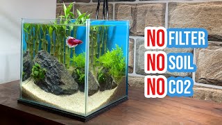 🎋 Building a Lucky Bamboo Aquarium  Betta Fish Tank Setup 🐠☘️ [upl. by Cathie829]