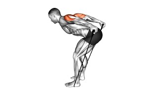 The BEST Resistance Band Workouts Triceps For BIGGER Arms [upl. by Past533]