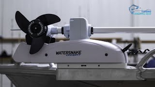 I Bought A Watersnake Electric motor [upl. by Atteiram]