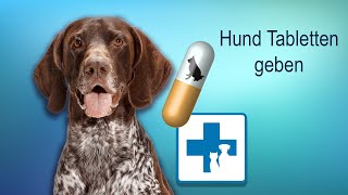 Wie gebe ich dem Hund Tabletten und Medikamente [upl. by Veda421]