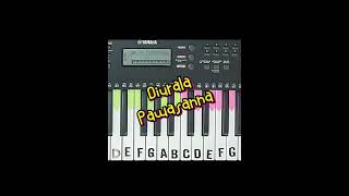 Diurala Pawasanna දිව්රාලා පවසන්න  Subscribe and Follow YCHORDS for more Keyboard Covers shorts [upl. by Pancho]