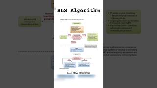 BLS Algorithm AHA aiims aiimdelhi aiimsrishikesh air146 nursingvibrant nursingofficer norcet [upl. by Laurentium981]