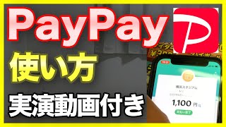 【ぜんぶ実演】初心者向け！PayPayの始め方を徹底解説！【キャッシュレス使い方チャージセブンATMポイント】 [upl. by Akinnor]