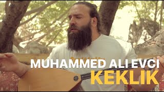 Muhammed Ali Evci  Keklik akustik [upl. by Ajet]