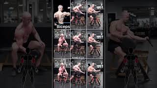 Best Biceps exercises [upl. by Eelsel]