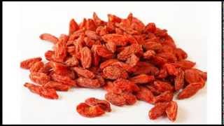 Explore Lycium  Goji Berry with Jing Herbs [upl. by Sitoel351]