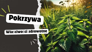 Pokrzywa i jej właściwosci [upl. by Kurr]