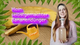 Bananendünger ganz leicht selber machen  Dünger  DIY [upl. by Beard241]