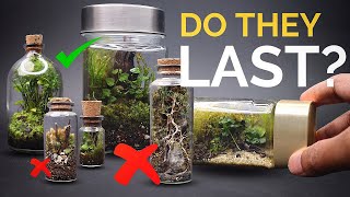 Do miniature terrariums last [upl. by Aryahay864]