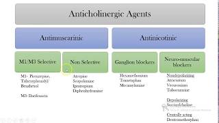 PARASYMPATHOLYTICSAnticholinergicsAntimuscarinic drugs [upl. by Alema]