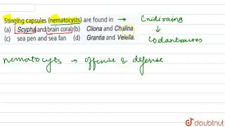 Stinging capsules nematocysts are found in [upl. by Julianne828]