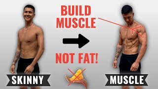 How To Bulk Up Fast WITHOUT Getting Fat 4 Bulking Mistakes SLOWING Your Gains [upl. by Monagan]