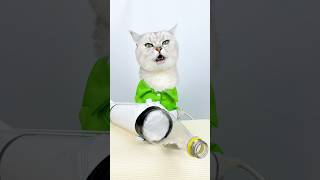 Hair Dryer Vacuum Cleaner Popular life hacks cuddleclawshow lifehacks foryou catchef cats [upl. by Edyth]