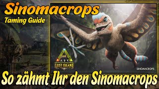 Sinomacrops so Zähmt Ihr ihn  ARK Lost Island Taming Guide [upl. by Spancake]