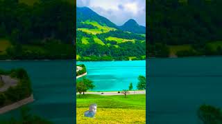 Lungernsee🇨🇭 Switzerland 🇬🇪 [upl. by Hama164]