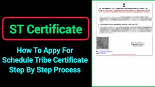 ST Certificate  Apply Online for Schedule Tribe Certificate Step by Step Process [upl. by Salisbury606]