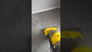 carpet vacuuming before professional steam cleaning [upl. by Blackmore]