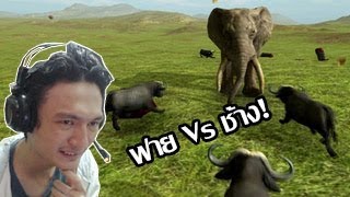 Beast Battle Simulator ฟาย Vs ช้าง ศึกดวลเพนกวิ้นซิมูเลเตอร์ [upl. by Mercedes]