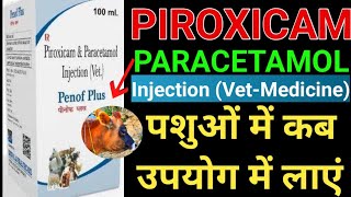 Piroxicam Paracetamol Injection Veterinary MedicinePiroxicam पेरासिटामोल इंजेक्शनUse RouteDose [upl. by Imtiaz]