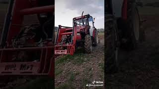 Orka zetor 7540 rok 2020 [upl. by Ahcim]