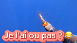 Chasse sous marine à Tahiti 2023 la deuxième prise de lannée [upl. by Cinimmod489]