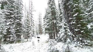 First Snow Berthoud Pass 9222024 [upl. by Ahsyla640]