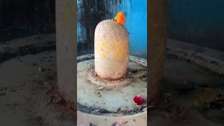 Bhole Shankar Padharo । bholenath bhaktishors । shiv baba [upl. by Osbert]