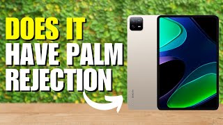 Does Xiaomi Pad 6 Have Palm Rejection [upl. by Nawad149]