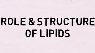 Role and Structure of Lipids AQA Edexcel OCR [upl. by Daus766]