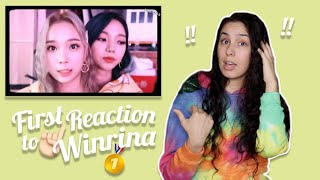 First Time Reaction to WINRINA [upl. by Spatola435]