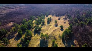 Deliblatska Peščara Drone Footage [upl. by Natie433]