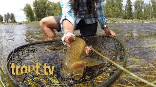 Blackfoot River on the fourth of July [upl. by Corrina895]