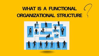 What is Functional Organizational Structure Types of Organization Structures in Project Management [upl. by Abbottson]