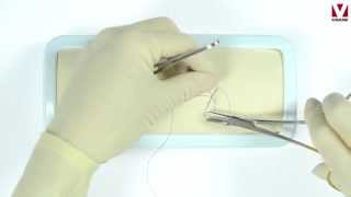 Suture techniques Cruciate [upl. by Congdon]