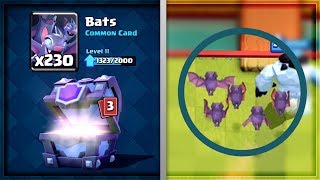 Clash Royale  BATS MADNESS Chief Bat Deck [upl. by Kauffman791]