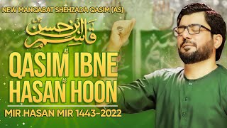 Qasim as Ibn e Hasan as Hoon  Mir Hasan Mir [upl. by Melly]