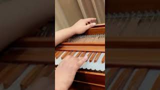 Harmonium Lesson for Beginners Master the Basics with Easy Steps  Imran Akhtar harmuniumlessons [upl. by Henricks]