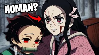 WHAT IF Nezuko becomes DEMON SLAYER [upl. by Immak966]