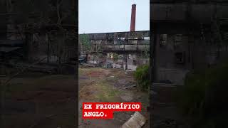 Ex frigorífico ANGLO Cocina del mundo [upl. by Shaughn751]