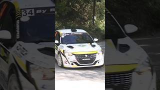 RALLY SANTO STEFANO BELBO 2024  PEUGEOT 208 GT LINE RALLY4 BY BIANCHI ildiretta noirally rally [upl. by Flinn]