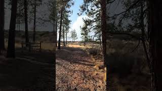 Manzanita Trail  Bend OR [upl. by Anaul519]