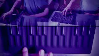 Testing my new Roli Seaboard M [upl. by Antons]