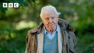 Sir David Attenborough welcomes us all to TheEarthshotPrize2023  BBC [upl. by Hsirrap]